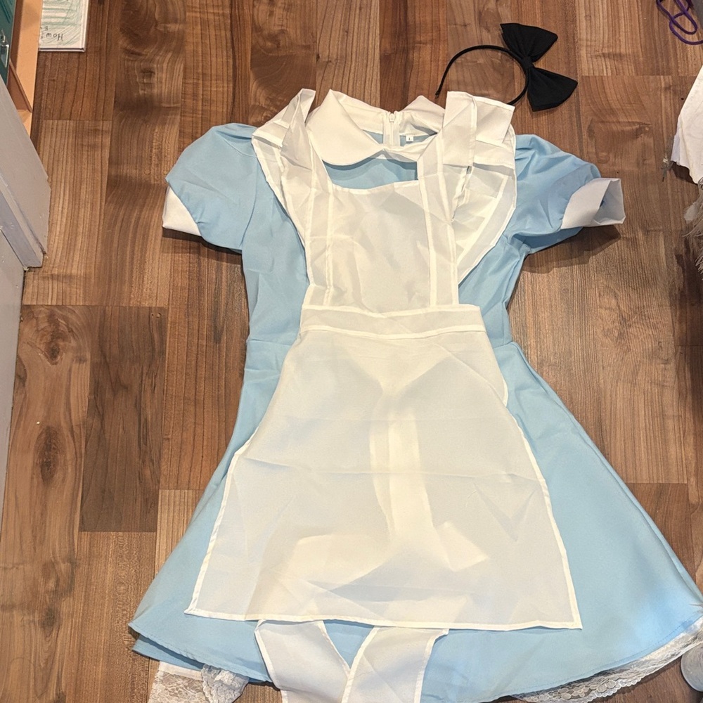 Woman’s Alice in Wonderland costume